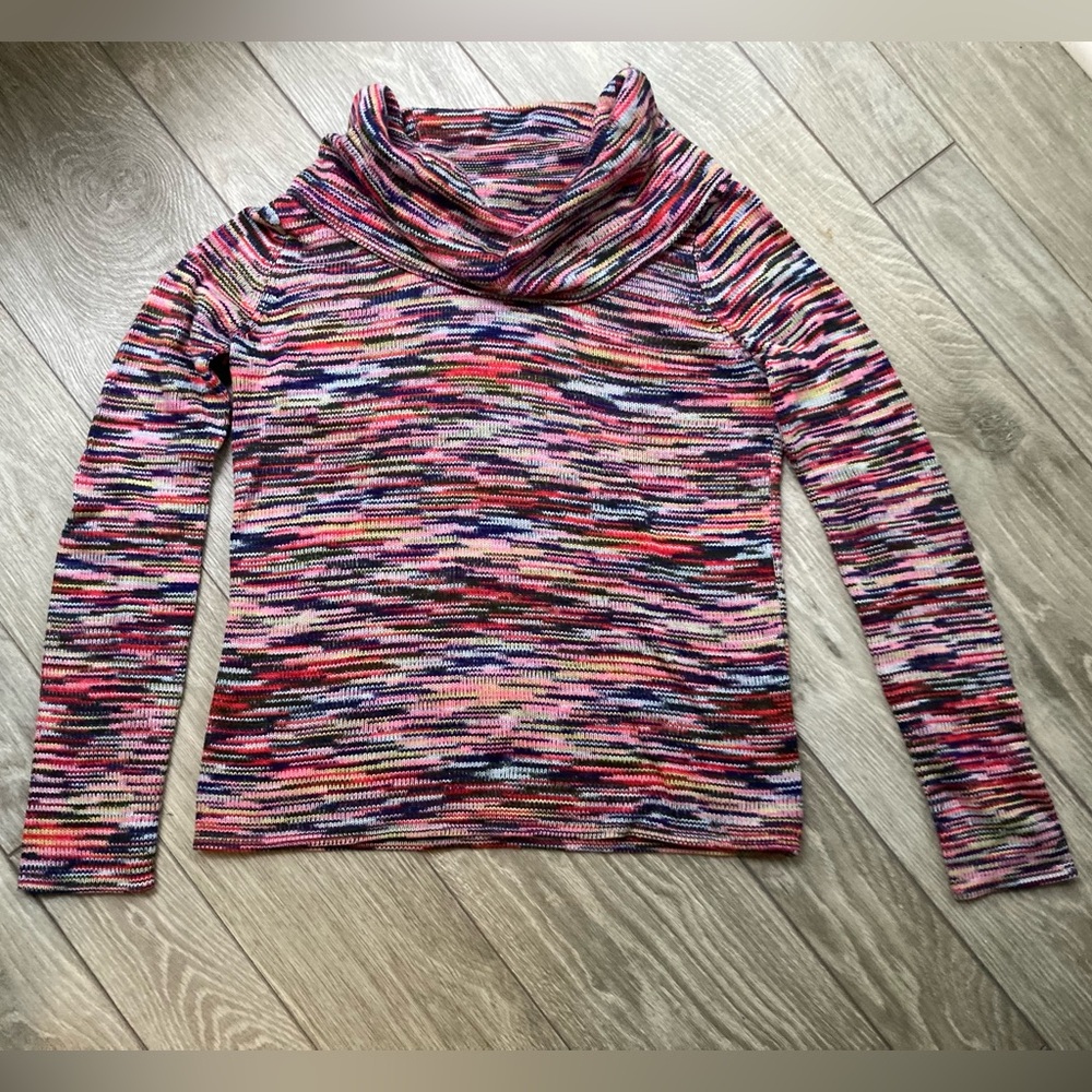 The Limited Multicolor Cowl Neck Sweater